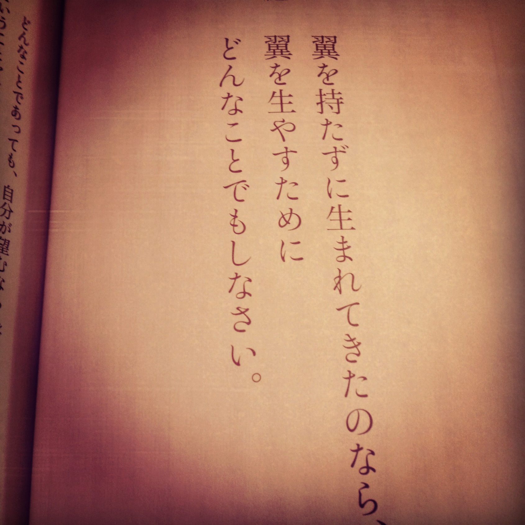 ココ シャネル女を磨く言葉 たかのてるみ ゆとり世代の頭を読書で埋める